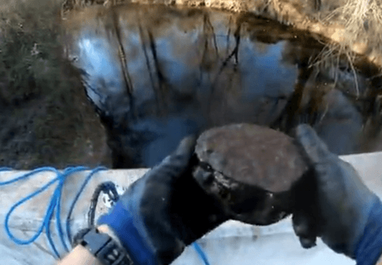 You never know what you might find in the water