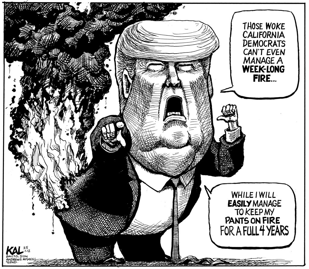 Who is to blame? | EDITORIAL CARTOON