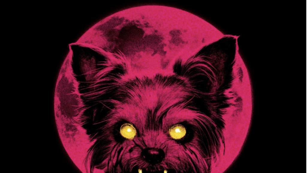 'Yorkie Werewolf' Strikes Terrier in Viewers' Hearts