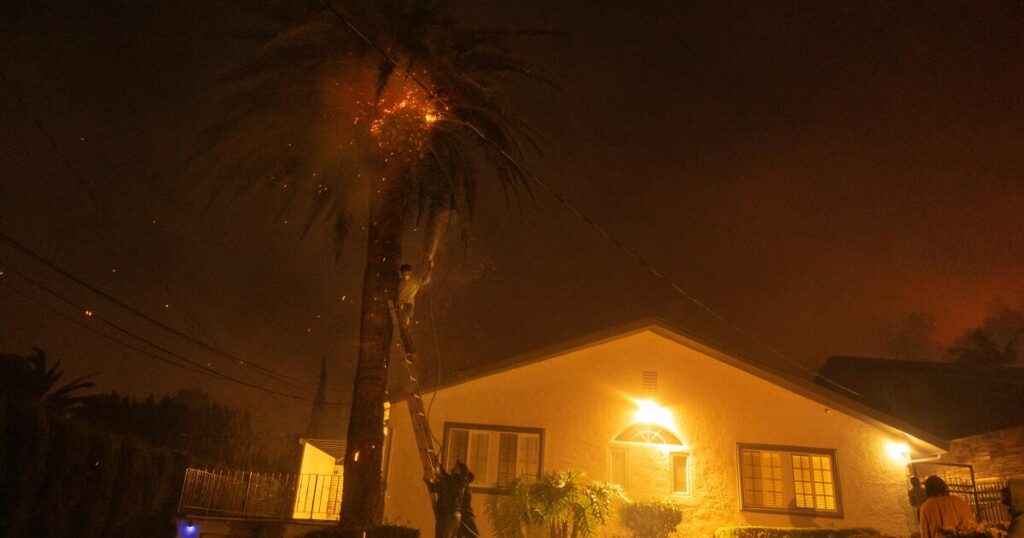 Editorial: Must L.A. purge flammable eucalyptuses and palms? Maybe not