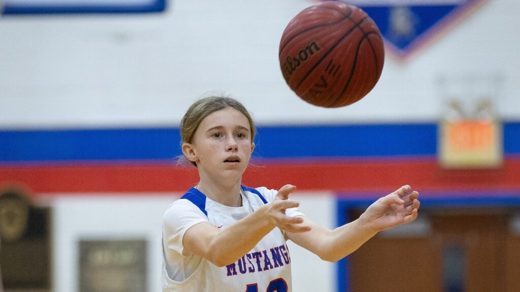 Noel, Henry combine for 45 points as Triton tops Highland - Girls basketball recap