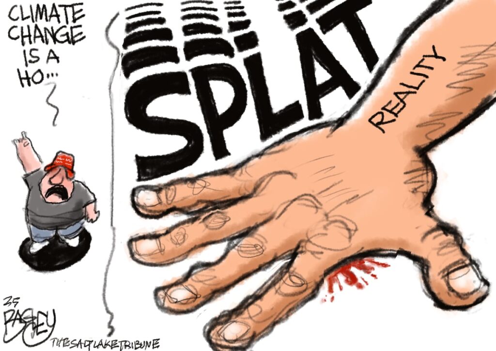 Bagley Cartoon: Slap Down