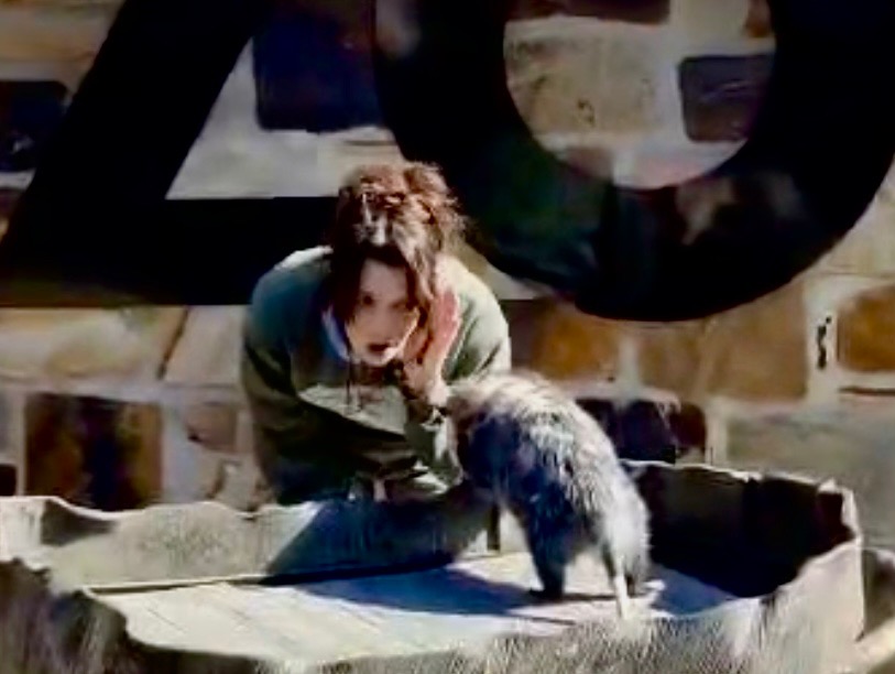 opossum