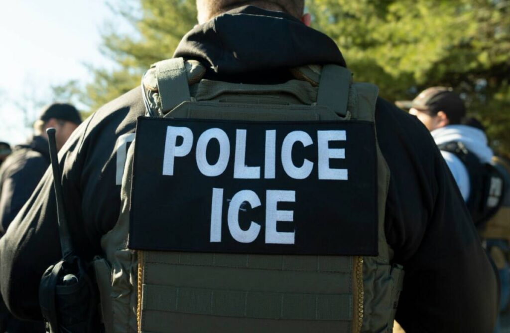 An Immigration and Customs Enforcement officer. (AP Photo/Alex Brandon, File)