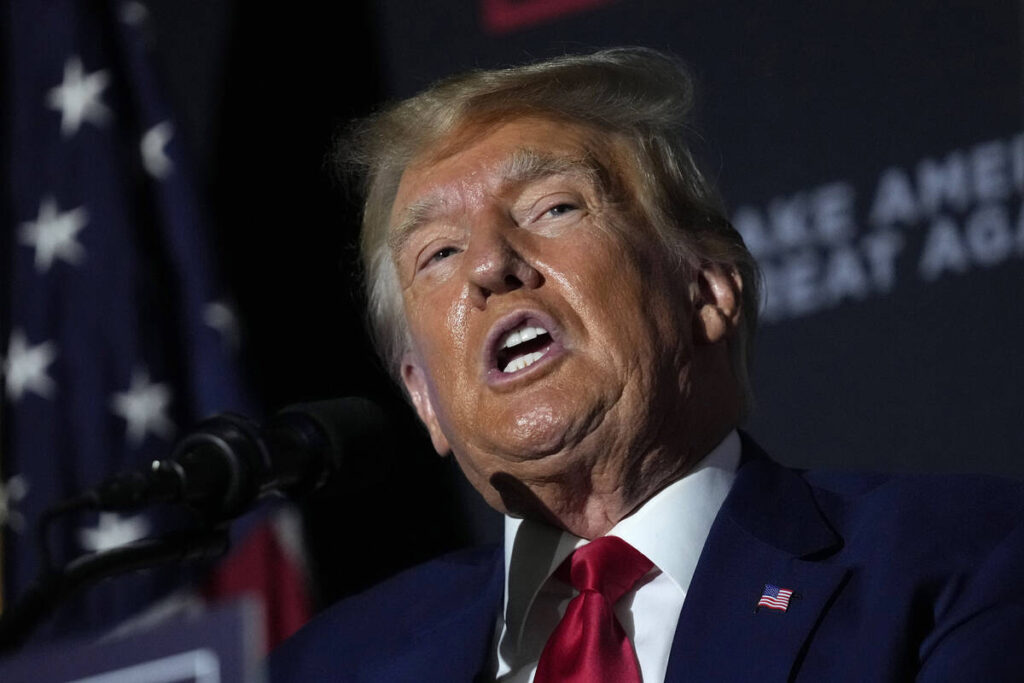 President Donald Trump. (AP Photo/Robert F. Bukaty)
