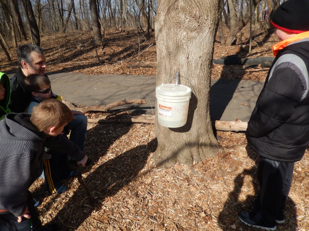 Maple Fest set for this weekend at Red Oak in North Aurora