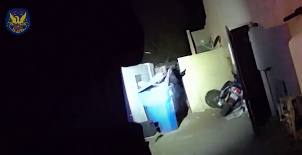 Video: Phoenix cops shoot, kill armed man hiding in recycling bin