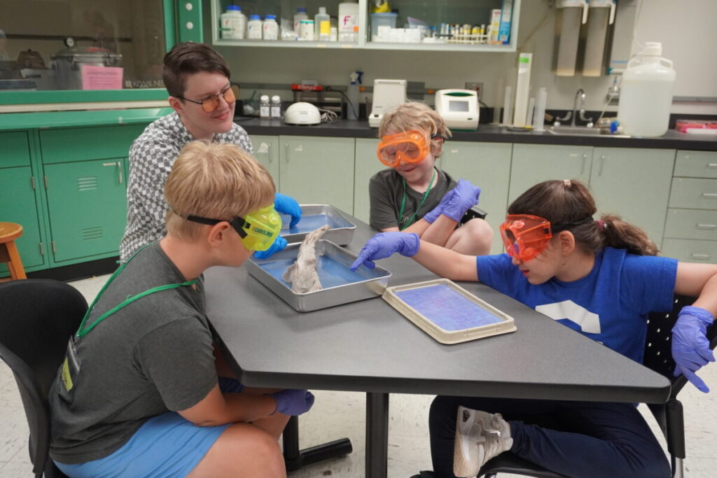 Why your kid will love these science-filled summer camps + how to sign up now