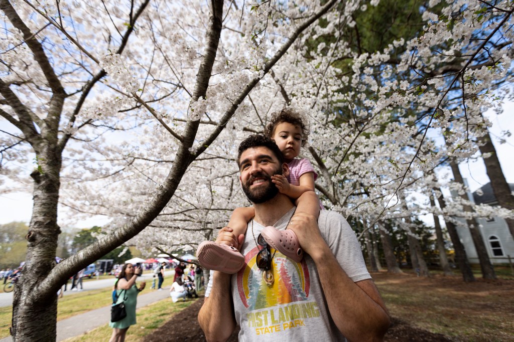 Photos: Red Wing Park opens for Cherry Blossom Festival