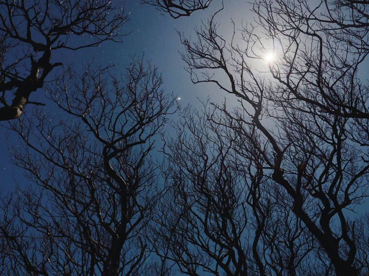 Embracing darkness on the Isle of Rum