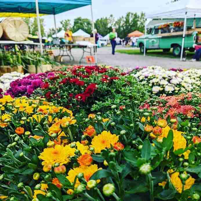 Hamburg Farmers Market - Buffalo Rising