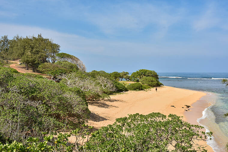 Visitor, 43, dies while snorkeling on Kauai’s north shore