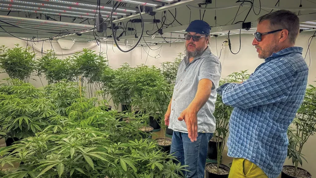 Vermont Brewer Donates Captured CO2 to Cannabis Grower
