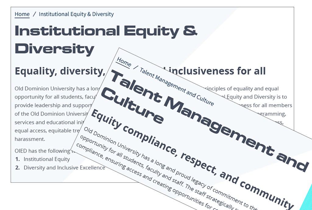 Some Hampton Roads universities removing DEI references