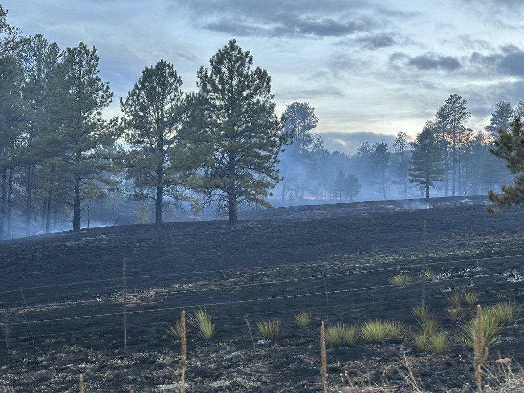 Turkey Track fire sparks on forest land in Douglas County near Sedalia