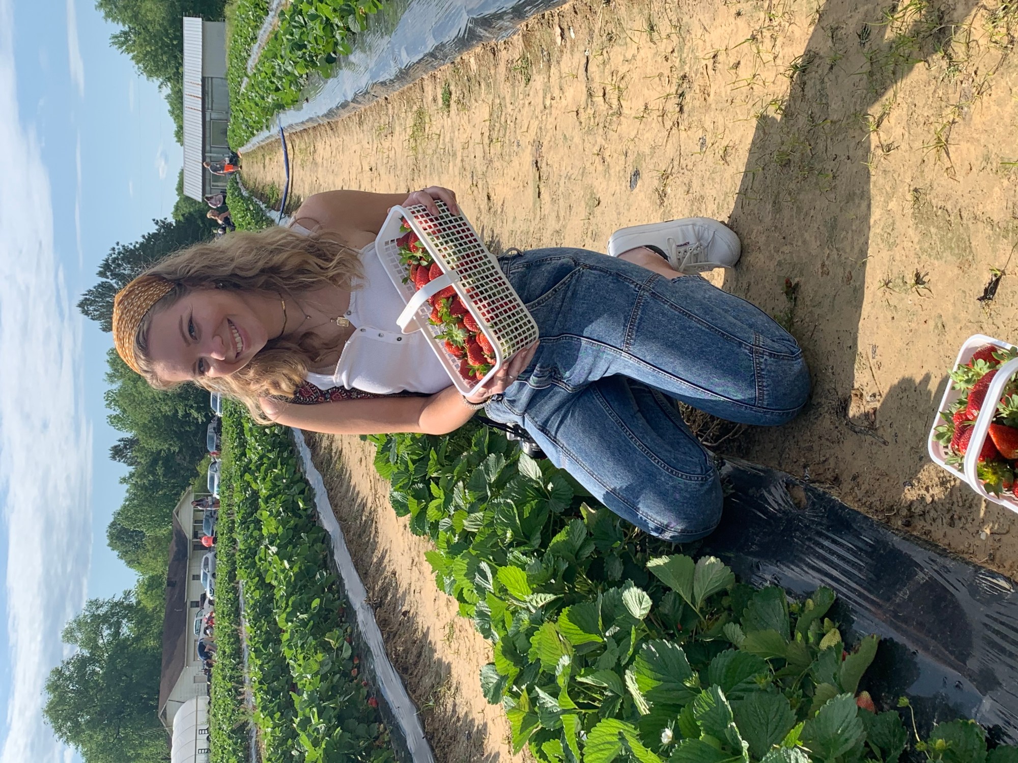 Sweetest strawberry picking spots near Birmingham + festivals 2 Irene Strawberry UPICK Sweetest strawberry picking spots near Birmingham + festivals