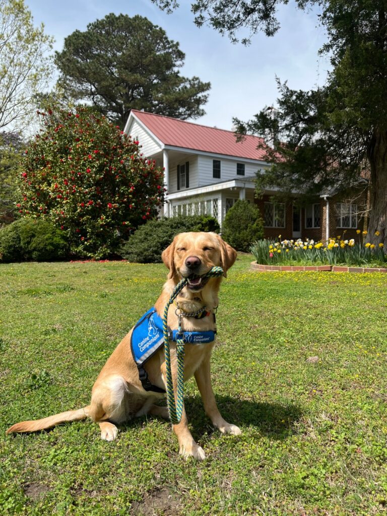 Nonprofit service dog provider opens Virginia site