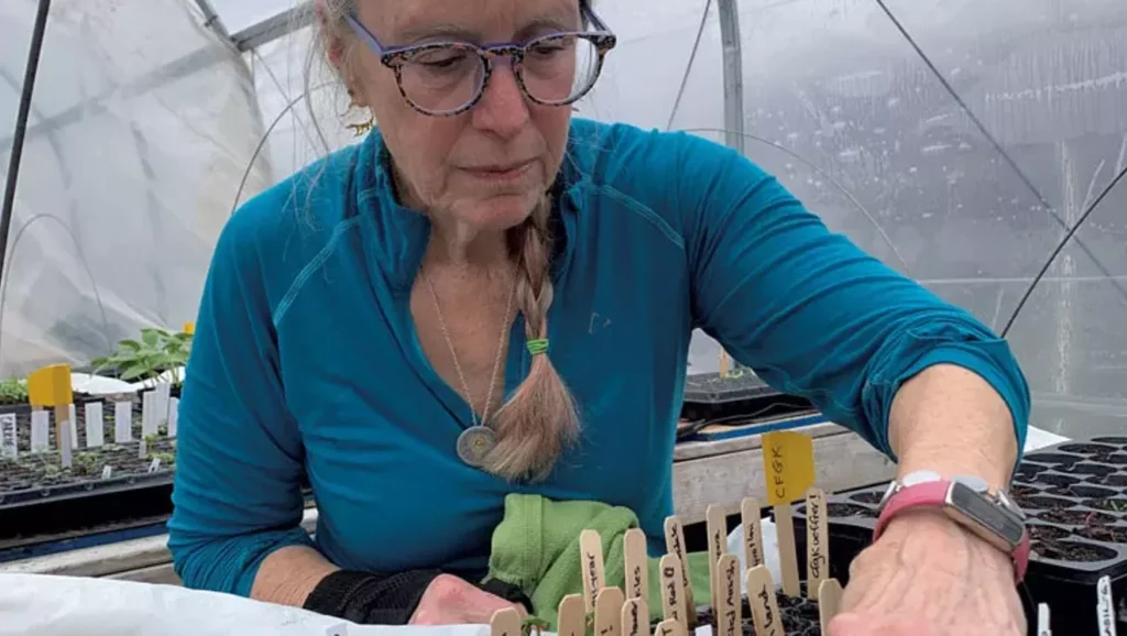 A 'Teaching Greenhouse' Opens in Winooski