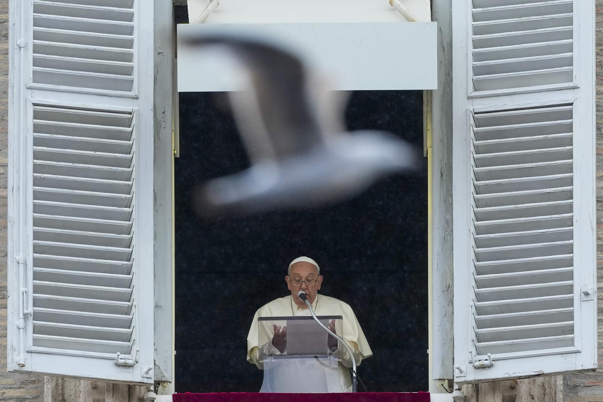 A seagull flies in front of Pope Francis as he speaks from a balcony in St. Peter's Square .