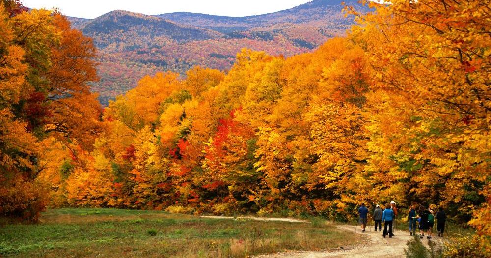 Fall Foliage Celebration | New Hampshire