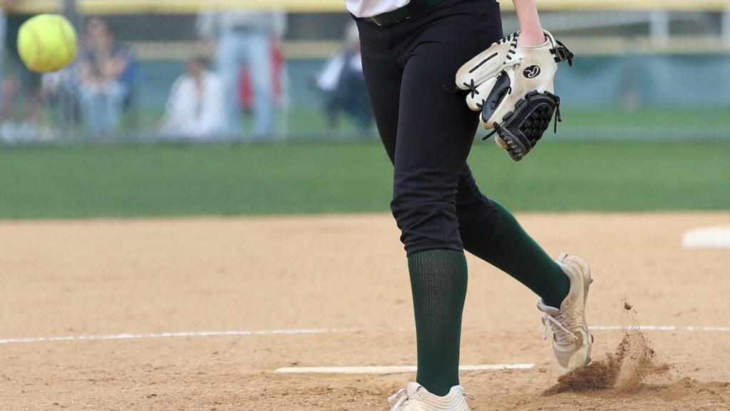 Minneci fires 4-inning perfect game as Manchester Twp. tops Brick Twp. - Softball