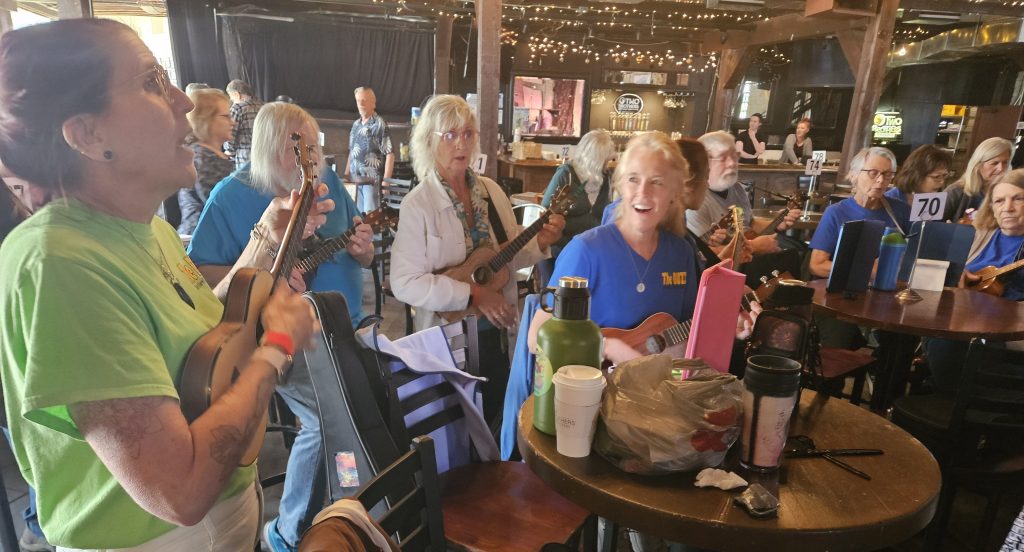 Ukulele fans bond at Aurora festival