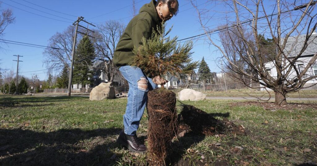A sequoia forest in Detroit? Earth Day plantings seek to improve air quality