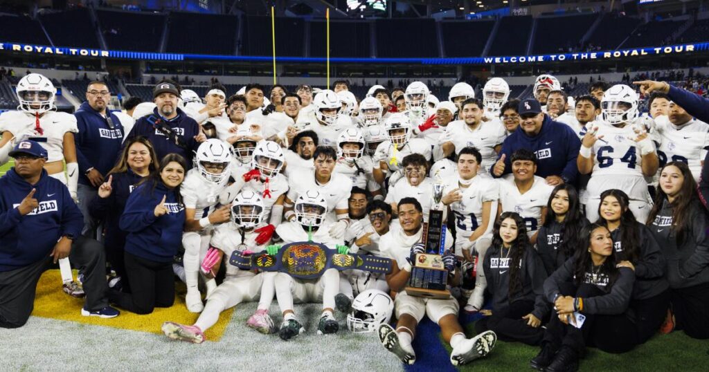 CIF panels weighing options on how to improve transfer rules