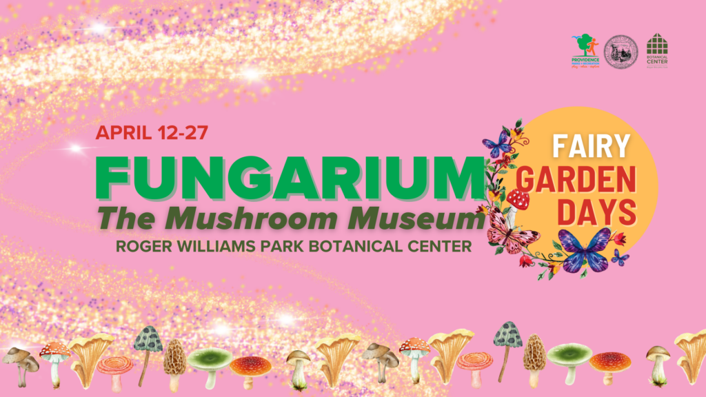 Fairy Garden Days 2025 Fungarium: The Mushroom Museum