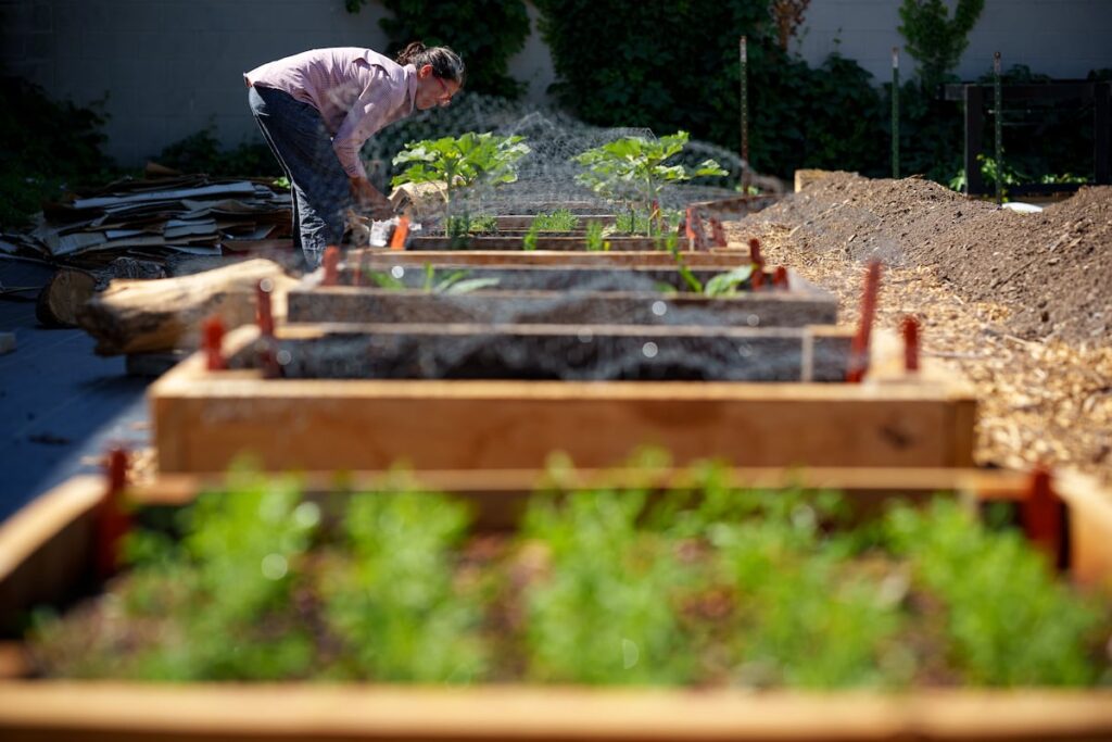 Federal cuts put Utah's health and economy at risk