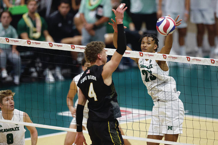 Hawaii volleyball team puts it all on the line in Big West semis