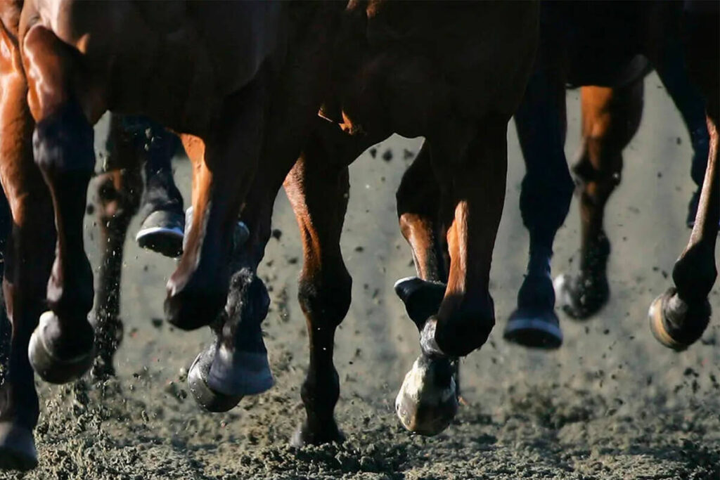 The Nevada Gaming Commission on April 24 will consider penalties greater than can be imposed by ...