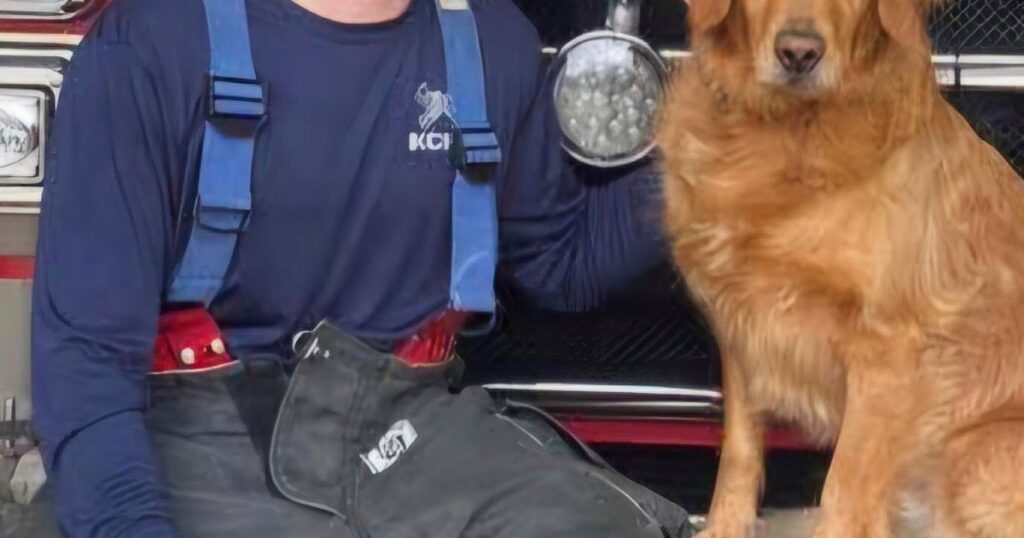 Woman charged with murder in stabbing of a paramedic during ambulance ride to a hospital