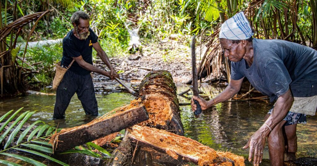 World’s largest deforestation project fells forests for bioethanol fuel, sugar and rice in Indonesia