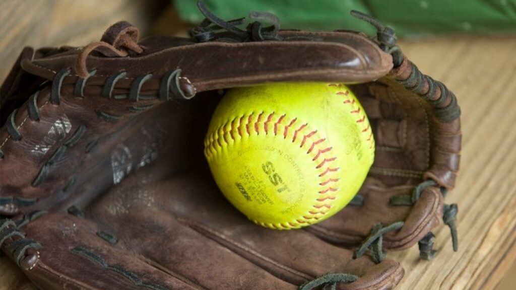DePaul over Lakeland in Passaic County Tournament quarterfinals - Softball recap