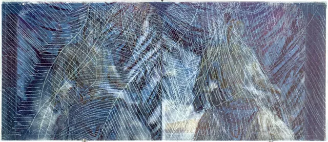 "stereogram [Lady Curzon]" - COURTESY