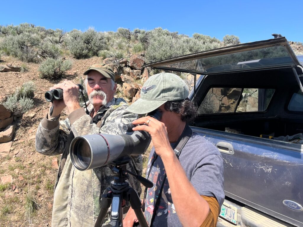 Retired wildlife biologist dedicates life to protecting Oregon’s golden eagles