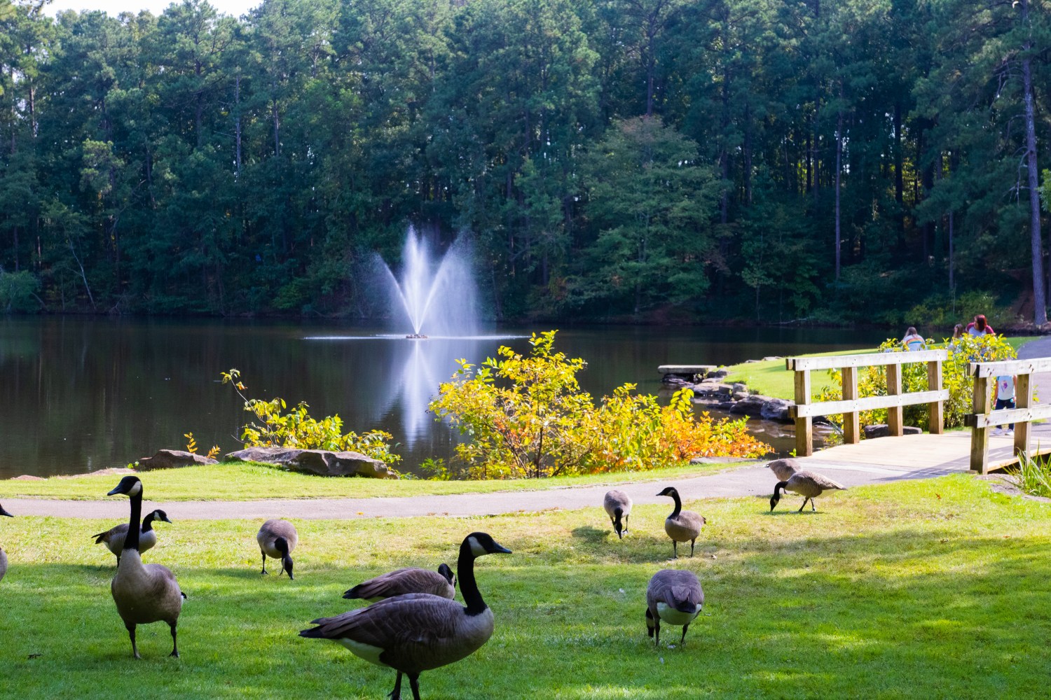35 June events to plan for now, including the Alabama State Games + Zoo Brews 6 Aldridge Gardens