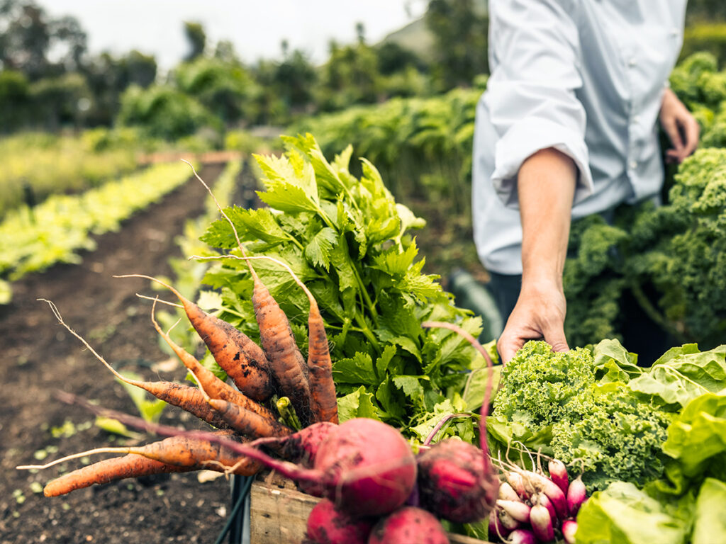Ambitious Plans and Unclear Funding for Durham County Farm Campus 