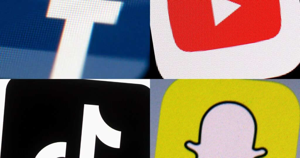 Georgia is the 8th state sued over age verification for children on websites