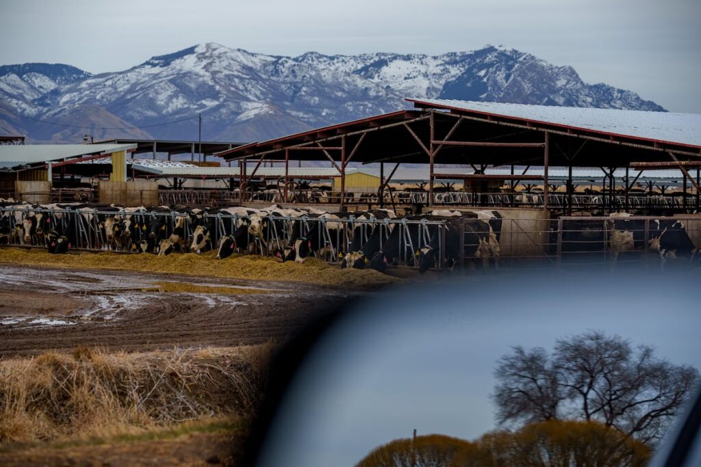 Protecting Utah farmers' and ranchers' mental health should be a priority