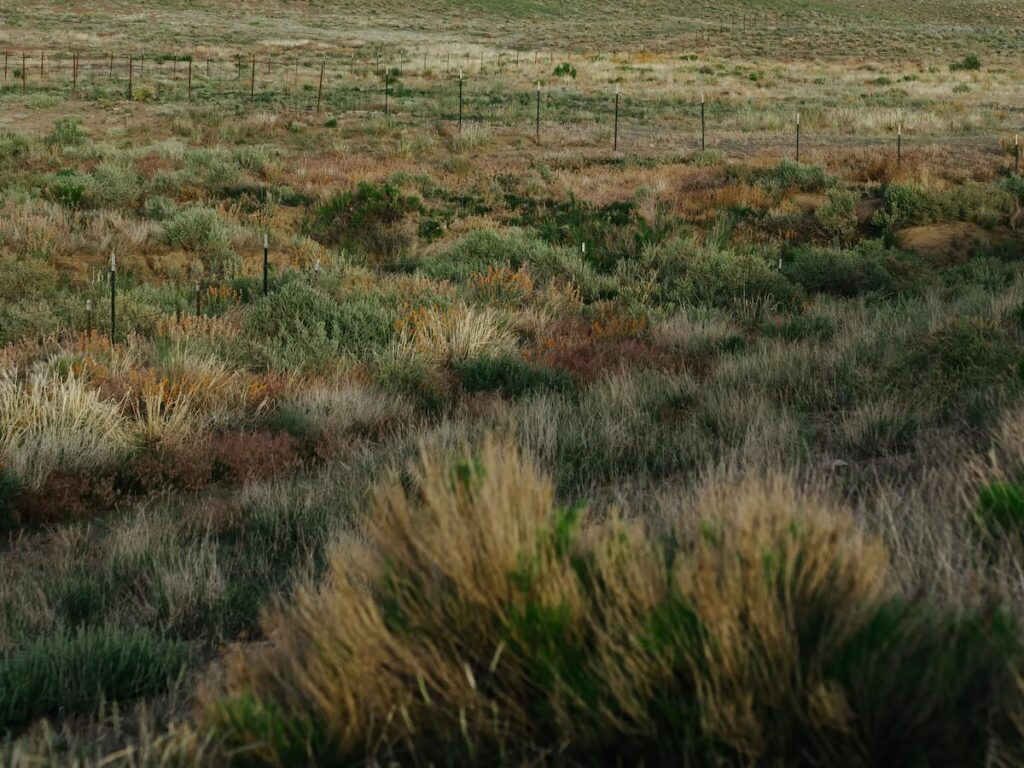 Republicans do have a red line. Zion plays a part.