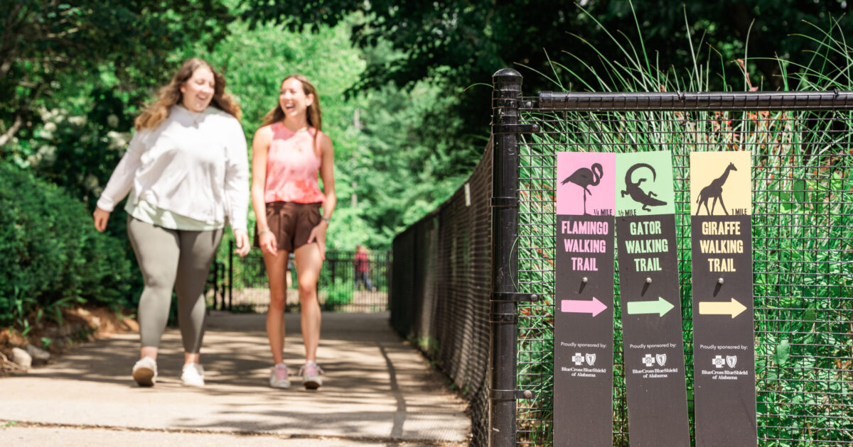 18 fun weekend events, including Zoo Brews + Pride celebrations—June 6-8 5 Birmingham Zoo walking trails, BCBS