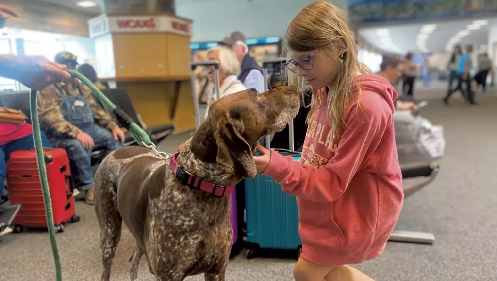 Therapy Dog Provides a Calming Presence to Fliers at BTV