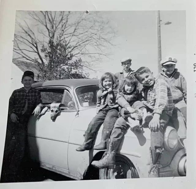 Debra Dessureault - COURTESY