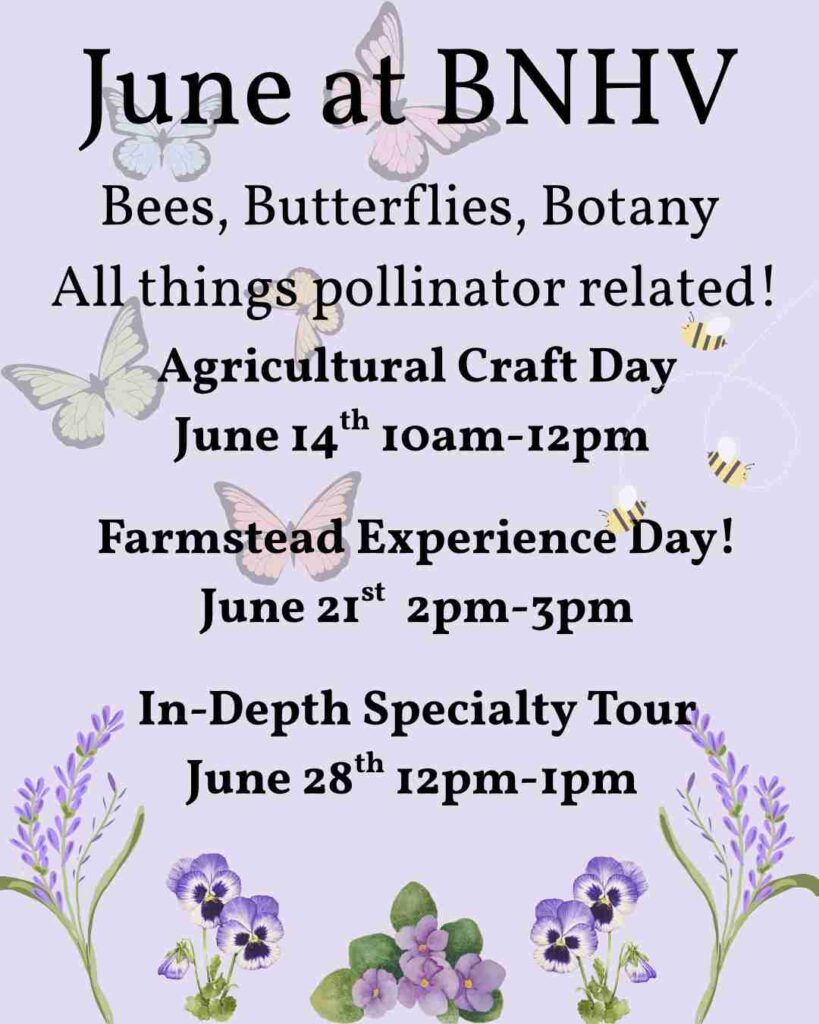 Buzz Into June at Buffalo Niagara Heritage Village