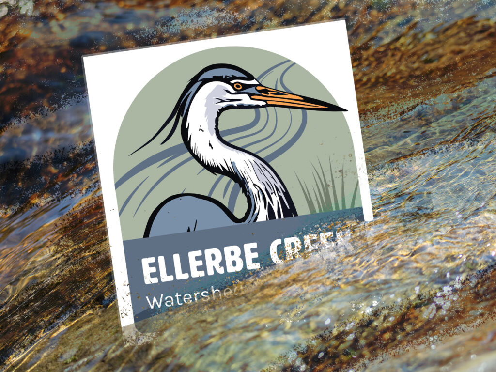 Ellerbe Creek Watershed Association Dissolves Amid Turnover