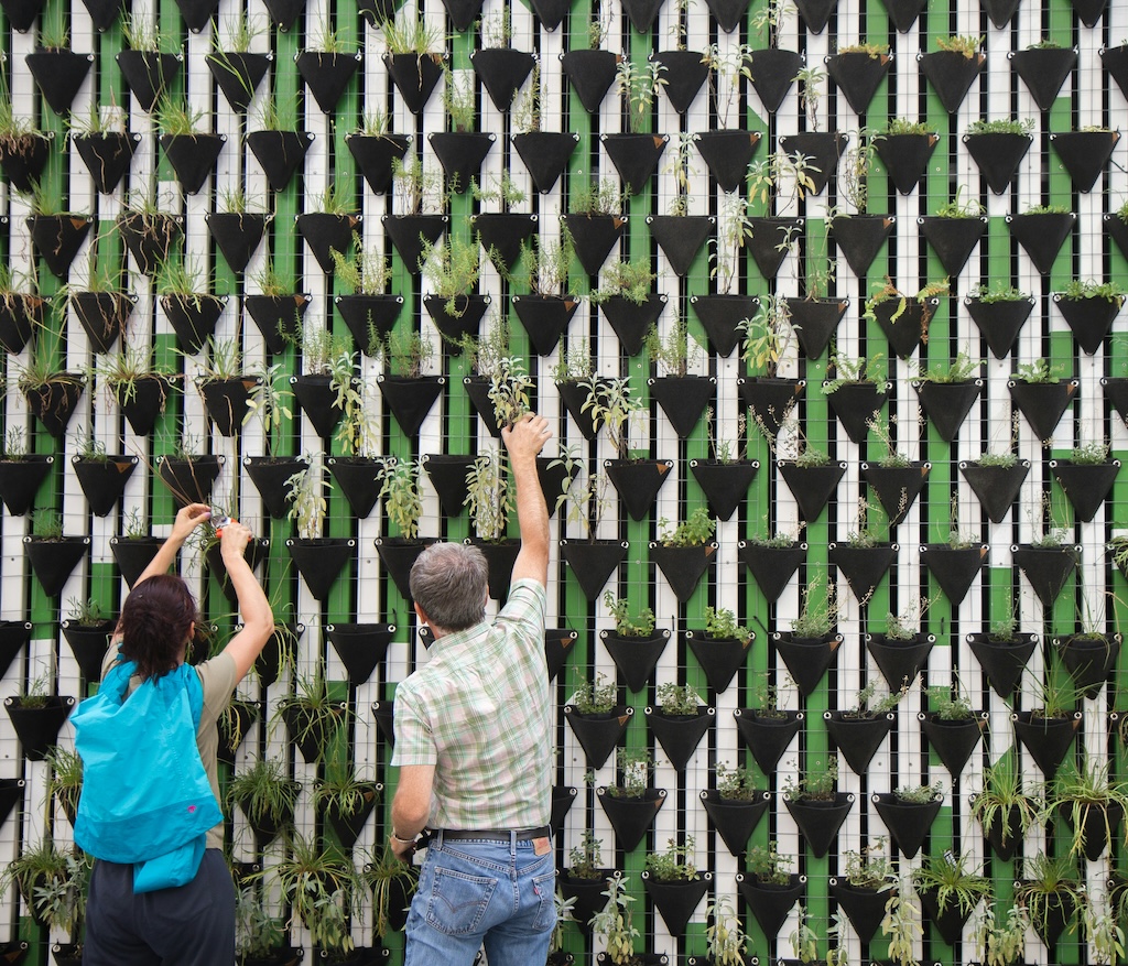 How to Find Your (Nonprofit) Match
