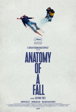 book cover for Anatomy of a Fall by 