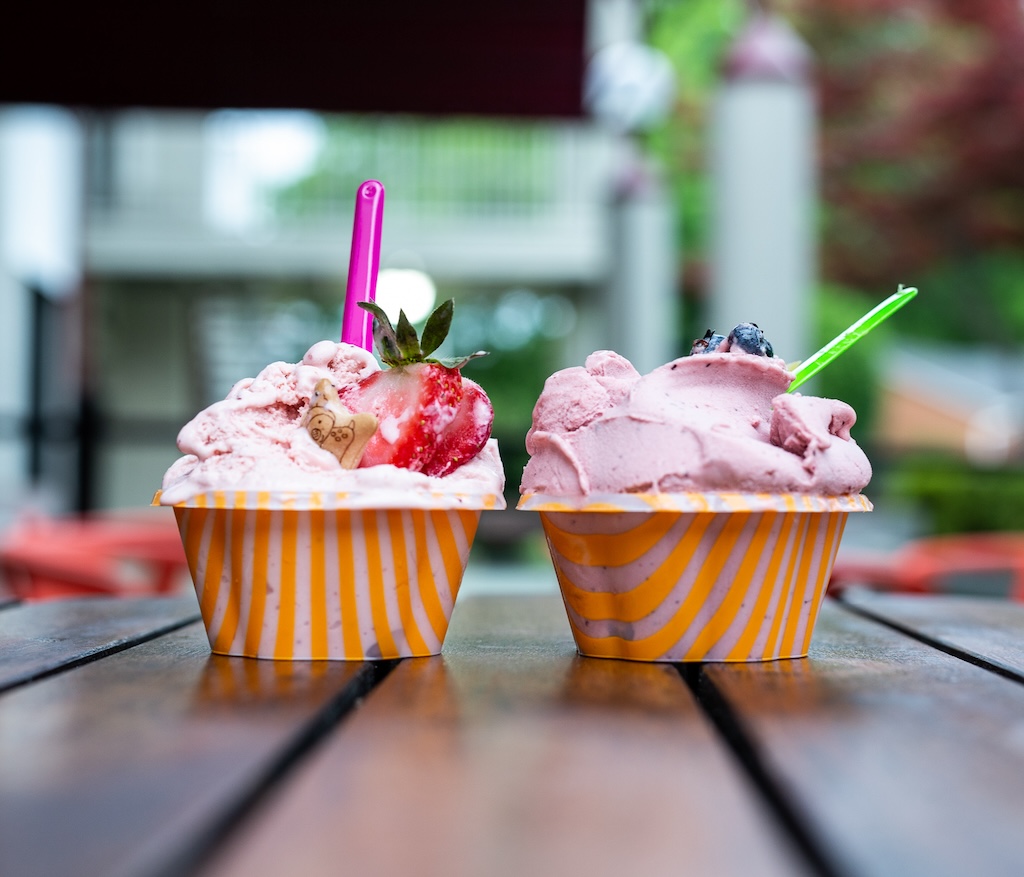 8 Local Frozen Treats to Help You Weather a Southern Summer